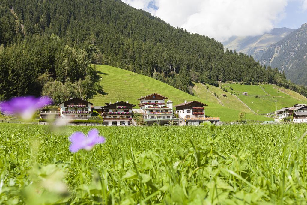 Apartament Art Neustift im Stubaital Zewnętrze zdjęcie